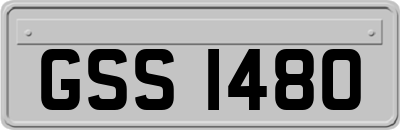 GSS1480