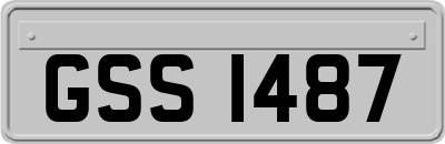 GSS1487