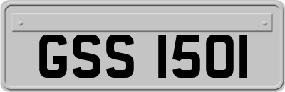 GSS1501