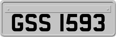 GSS1593