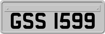 GSS1599