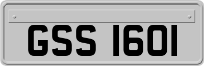 GSS1601