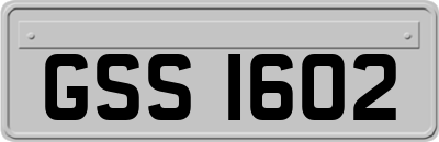 GSS1602