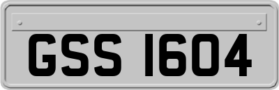 GSS1604
