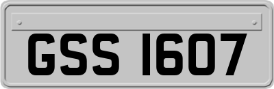 GSS1607