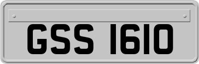 GSS1610