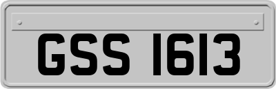 GSS1613