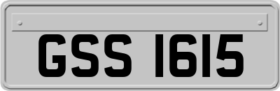 GSS1615