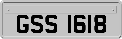 GSS1618