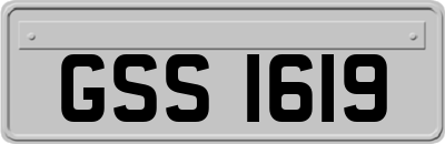 GSS1619
