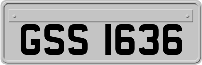 GSS1636