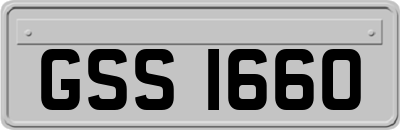 GSS1660