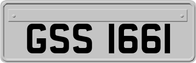 GSS1661