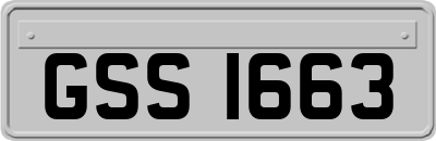GSS1663