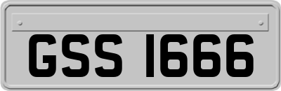 GSS1666