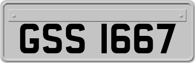 GSS1667