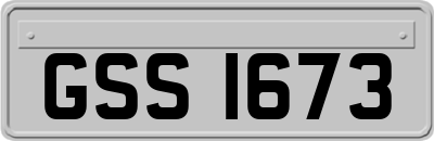 GSS1673