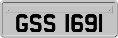 GSS1691