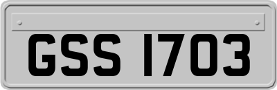 GSS1703