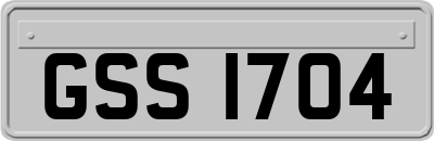 GSS1704
