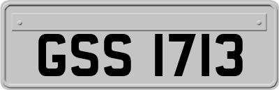 GSS1713