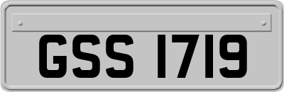 GSS1719