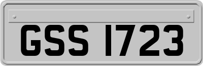 GSS1723