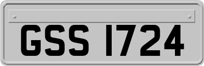 GSS1724