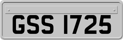 GSS1725