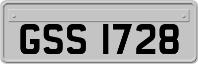 GSS1728