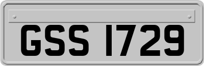 GSS1729