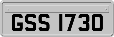 GSS1730