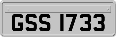 GSS1733