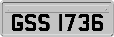 GSS1736