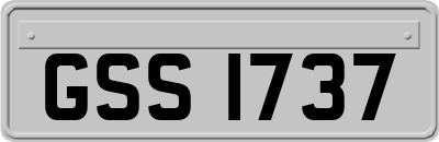 GSS1737
