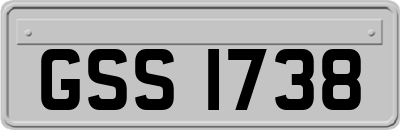 GSS1738