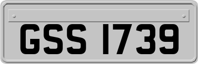 GSS1739