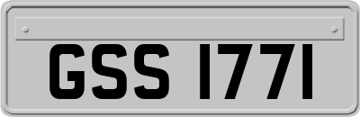 GSS1771