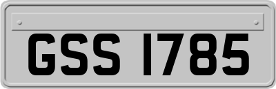 GSS1785