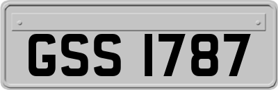 GSS1787