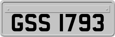 GSS1793