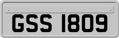 GSS1809