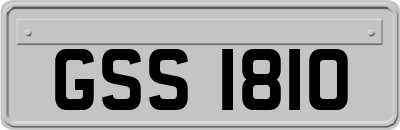 GSS1810
