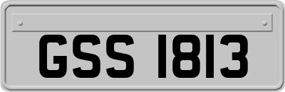 GSS1813