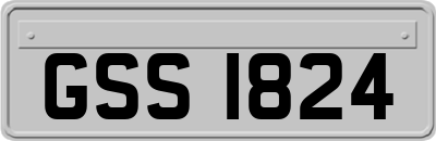 GSS1824