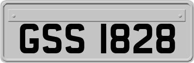 GSS1828