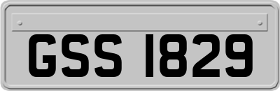 GSS1829