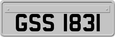 GSS1831