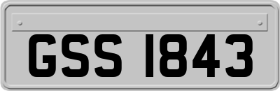 GSS1843