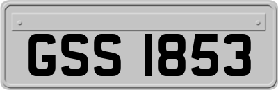 GSS1853
